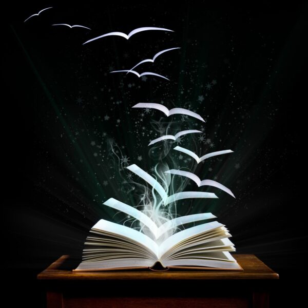 clients, idea, guidance, project, career, book, anthology, ghostwriting, training aid, training, manual, collection, publication, publish