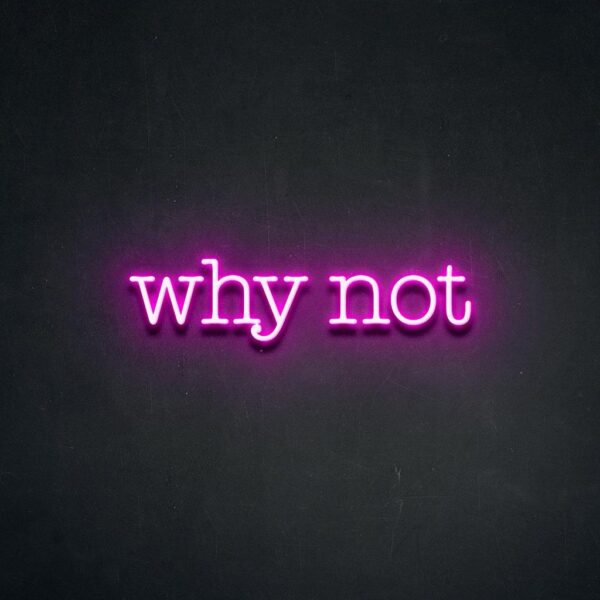 find your why, why, why not, find your why not, Simon Sinek, coach, hustle, Jo Watson, agoodwriteup, blog, enough, more, blogger, copywriter, blog, business, mind your own business, six figure lifestyle, 10k months